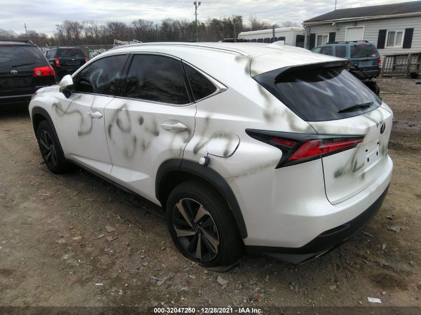 2021 LEXUS NX NX 300 VIN: JTJGARDZ9M5030435