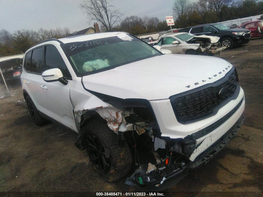 2021 KIA TELLURIDE SX VIN: 5XYP5DHC5MG161143