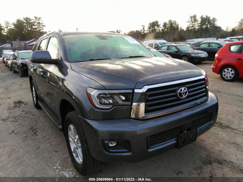 2021 TOYOTA SEQUOIA SR5/TRD SPORT/TRD PRO VIN: 5TDAY5B13MS187074