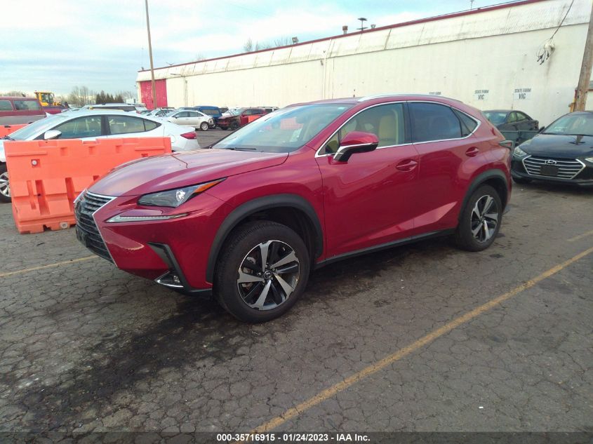 2021 LEXUS NX NX 300 VIN: JTJGARDZ2M2261307