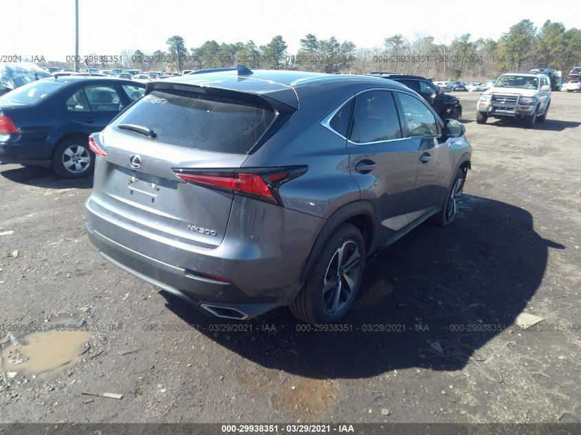 2021 LEXUS NX NX 300 VIN: JTJGARDZ0M2238849