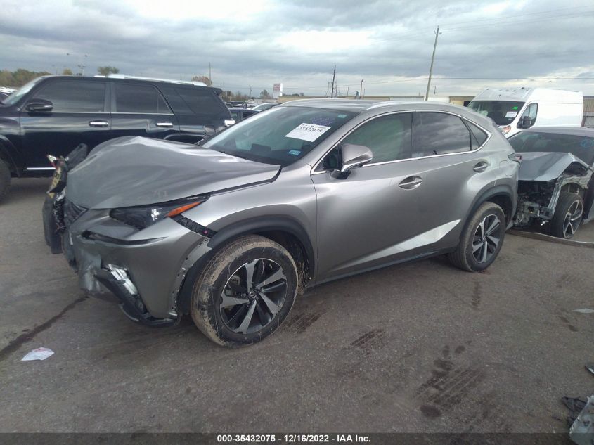 2020 LEXUS NX NX 300 VIN: JTJGARBZ6L5016235