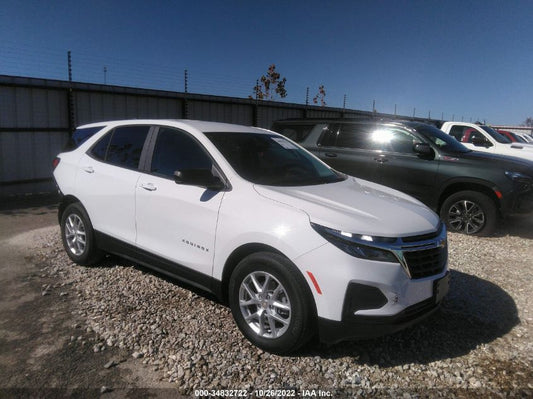 2022 CHEVROLET EQUINOX LS VIN: 3GNAXHEV9NS242862