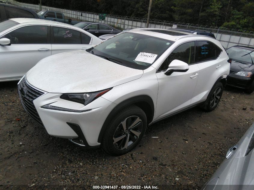 2021 LEXUS NX NX 300 VIN: JTJGARBZXM5034190