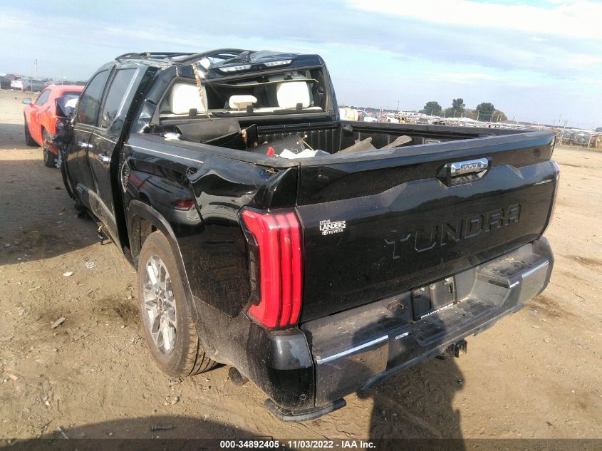 2022 TOYOTA TUNDRA 2WD 1794 EDITION VIN: 5TFMA5AB8NX007109