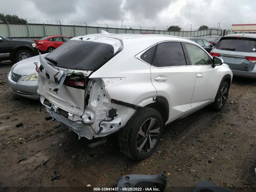 2021 LEXUS NX NX 300 VIN: JTJGARBZXM5034190