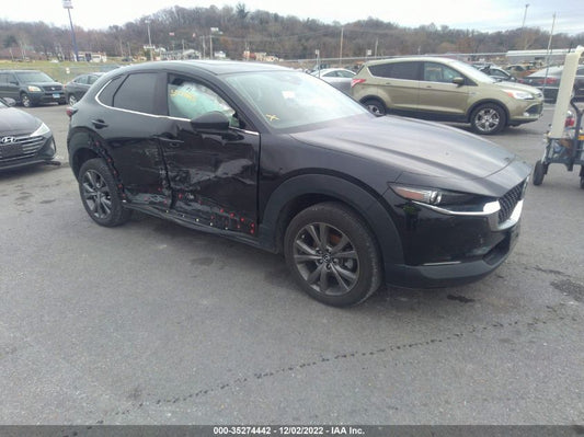 2021 MAZDA CX-30 PREMIUM VIN: 3MVDMBDL5MM266220