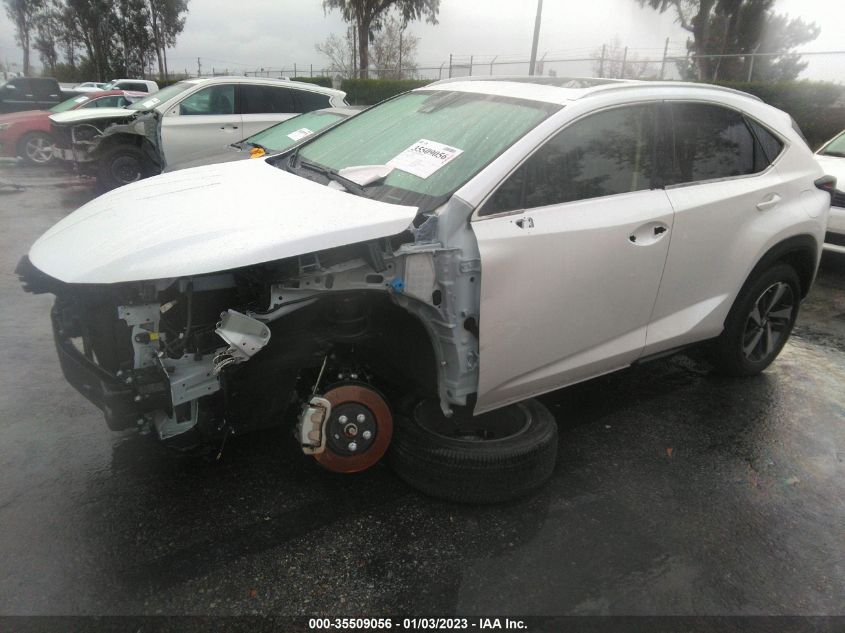 2021 LEXUS NX NX 300 VIN: JTJGARBZ1M5029198