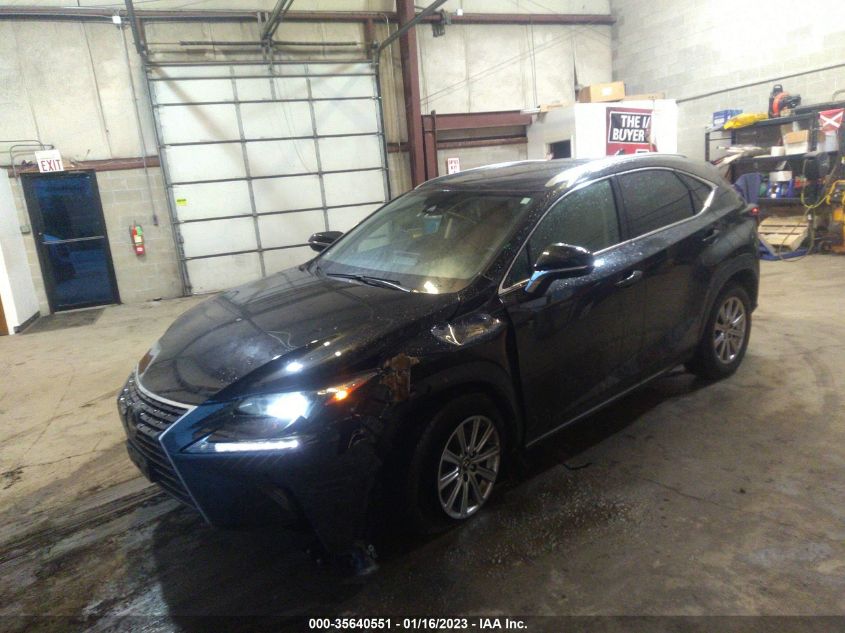 2021 LEXUS NX NX 300 VIN: JTJDARDZ9M2244619