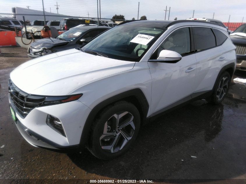 2023 HYUNDAI TUCSON LIMITED VIN: 5NMJE3AE2PH179699
