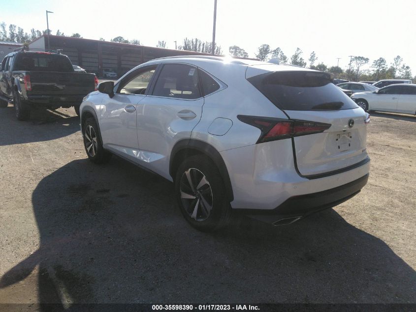 2020 LEXUS NX NX 300 VIN: JTJGARBZ4L5008098