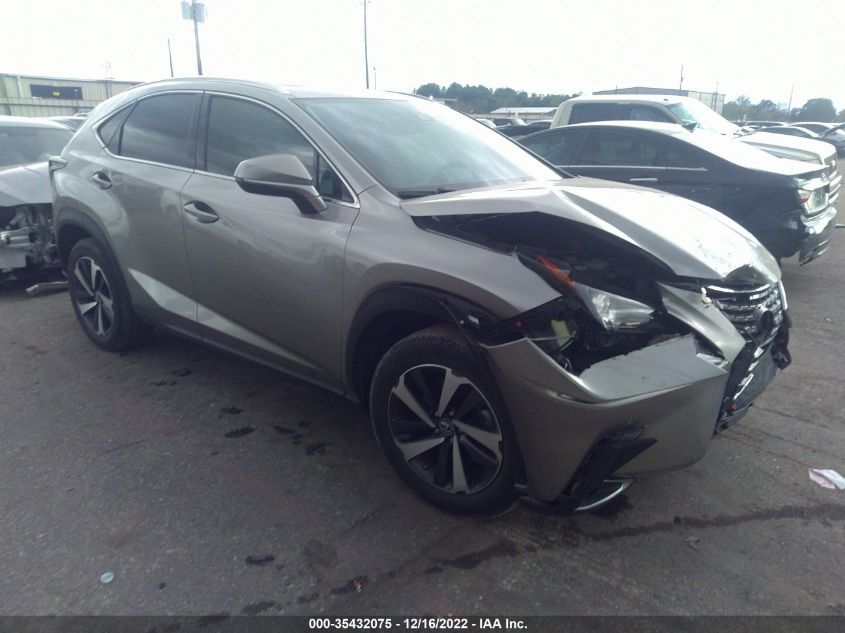 2020 LEXUS NX NX 300 VIN: JTJGARBZ6L5016235