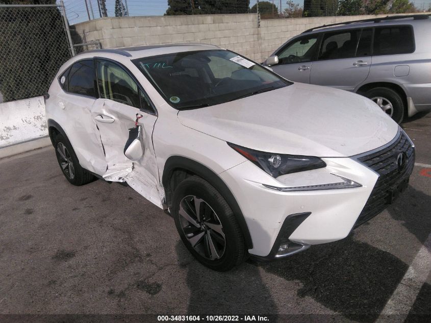 2020 LEXUS NX NX 300 VIN: JTJGARBZ8L5017614