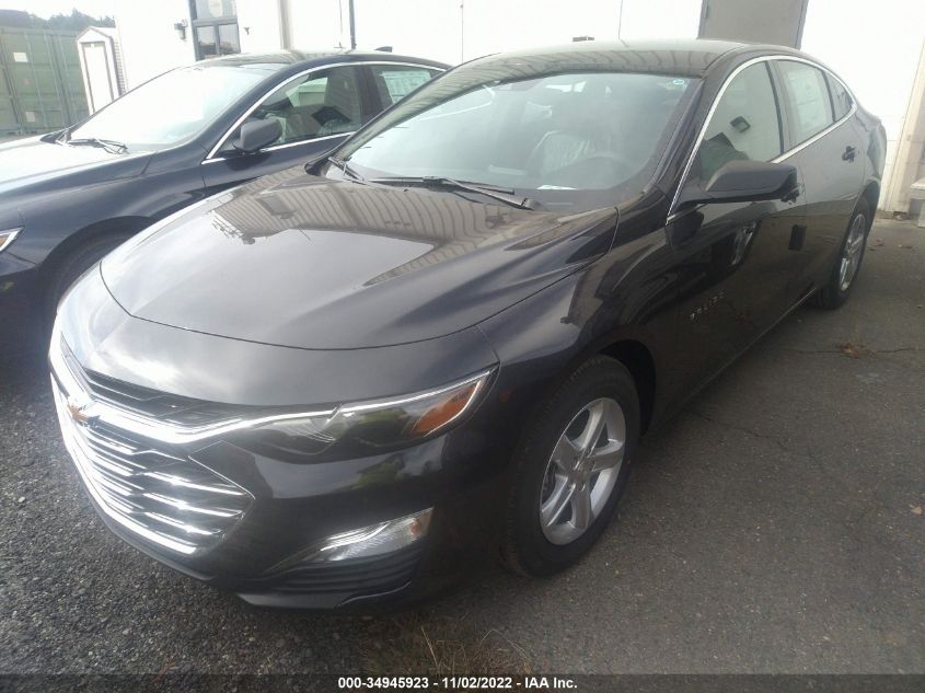 2023 CHEVROLET MALIBU LS VIN: 1G1ZC5ST8PF121555