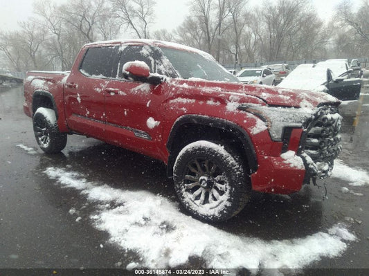 2022 TOYOTA TUNDRA 4WD PLATINUM VIN: 5TFNA5DBXNX039723