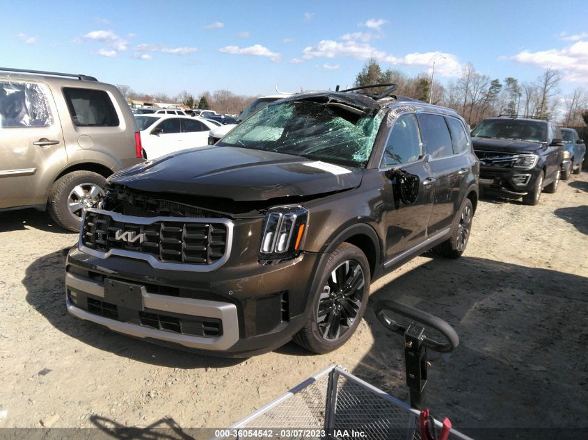 2023 KIA TELLURIDE SX VIN: 5XYP54GC7PG343416
