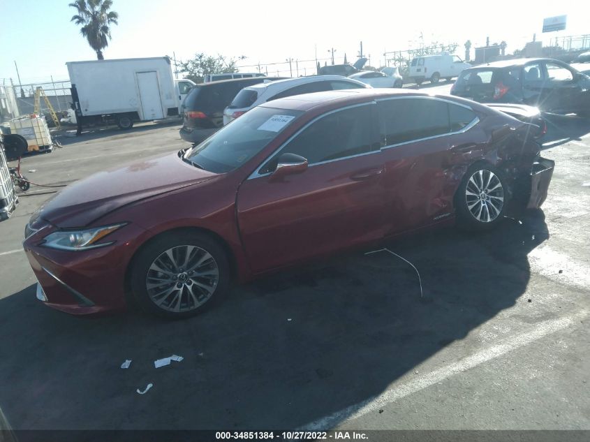 2021 LEXUS ES ES 300H VIN: 58ADA1C13MU007682