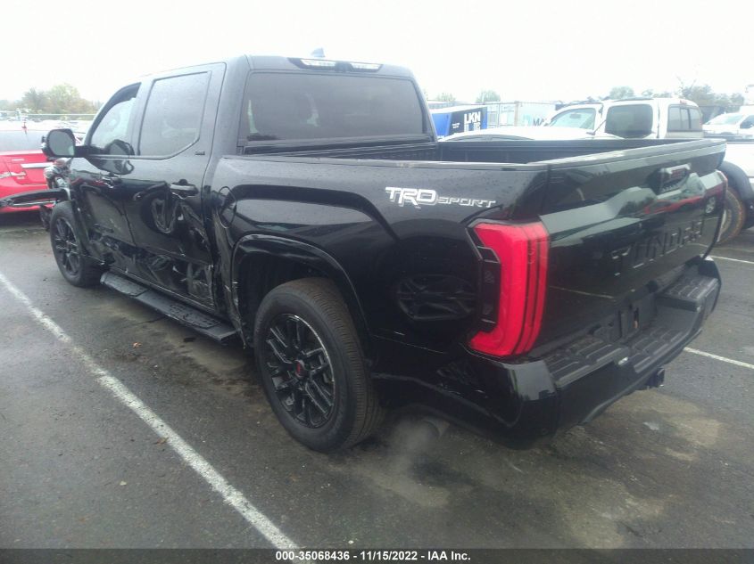 2022 TOYOTA TUNDRA 2WD SR5 VIN: 5TFLA5AB0NX002773