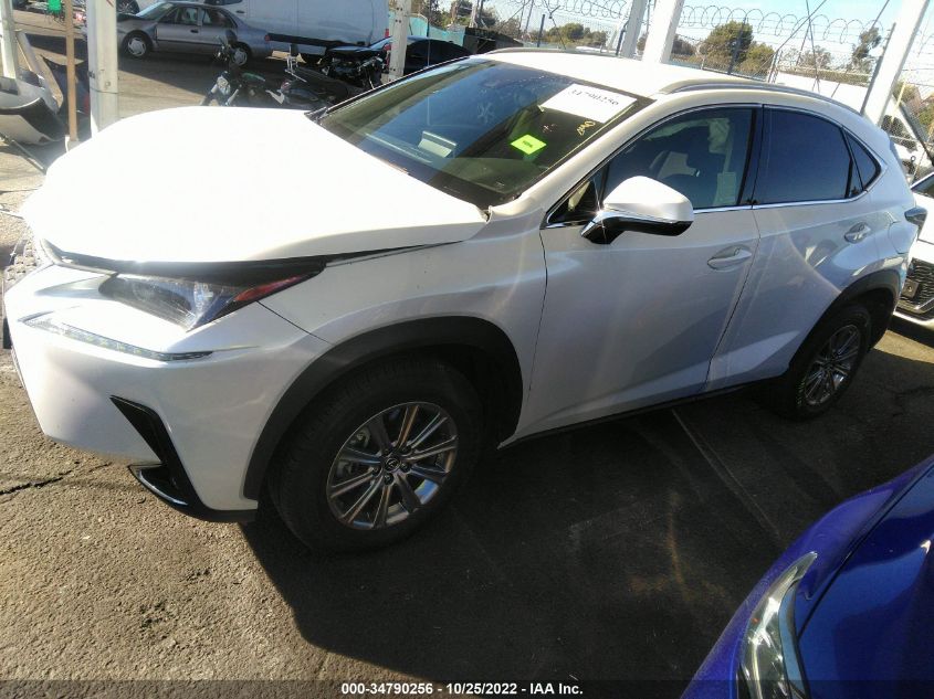 2020 LEXUS NX NX 300 VIN: JTJAARBZ6L2177062