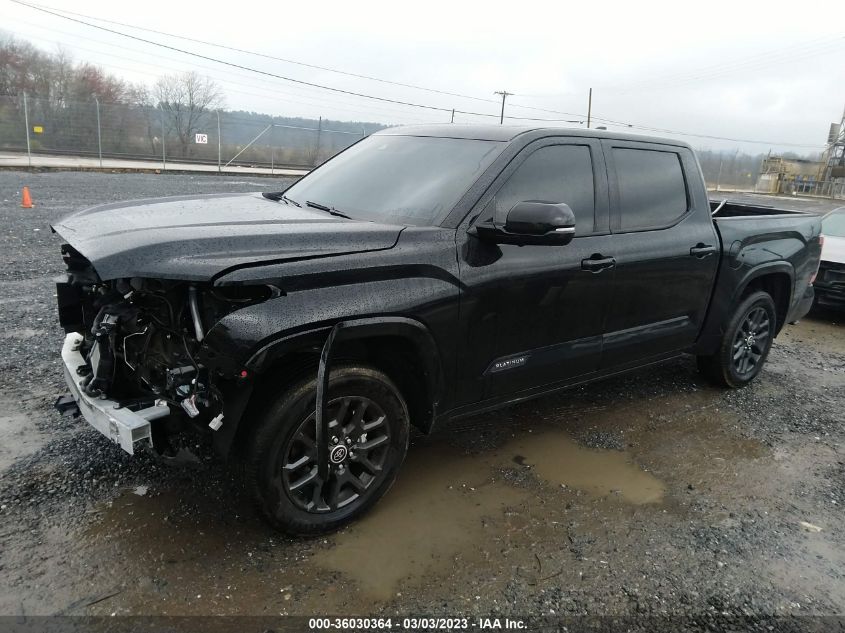 2022 TOYOTA TUNDRA 4WD PLATINUM VIN: 5TFNA5DB2NX006084