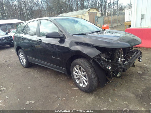 2021 CHEVROLET EQUINOX LS VIN: 2GNAXSEV2M6116952
