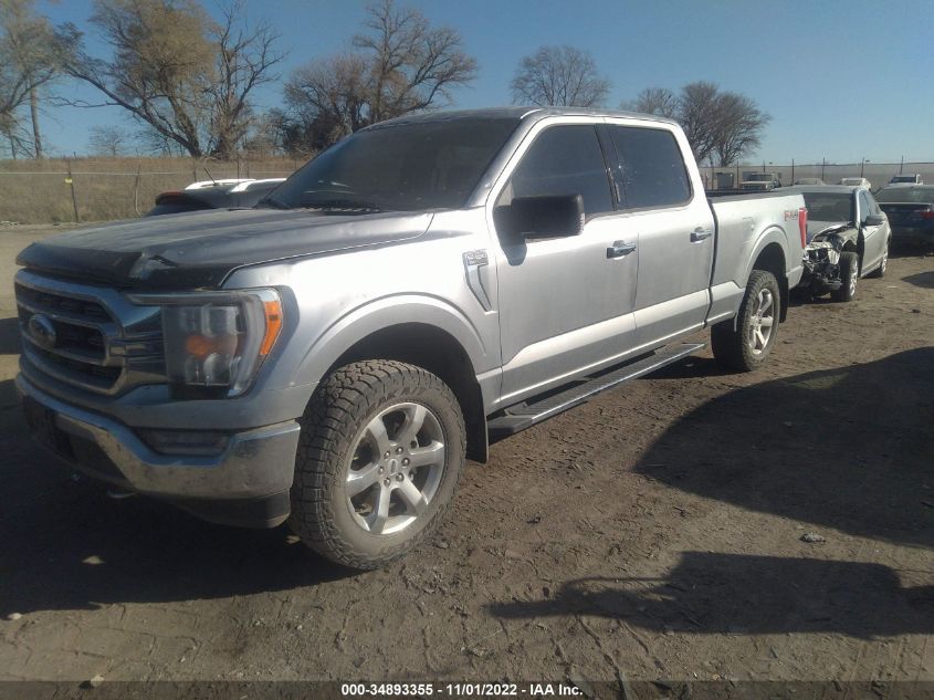 2021 FORD F-150 XL/XLT/LARIAT VIN: 1FTFW1E89MFB04597