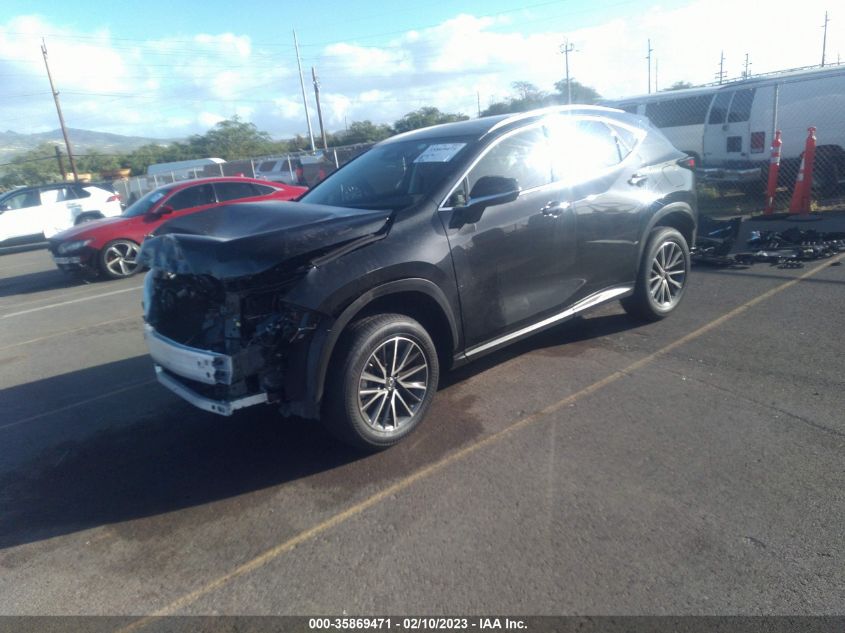 2023 LEXUS NX NX 250 VIN: JTJADCAZ1P5011400