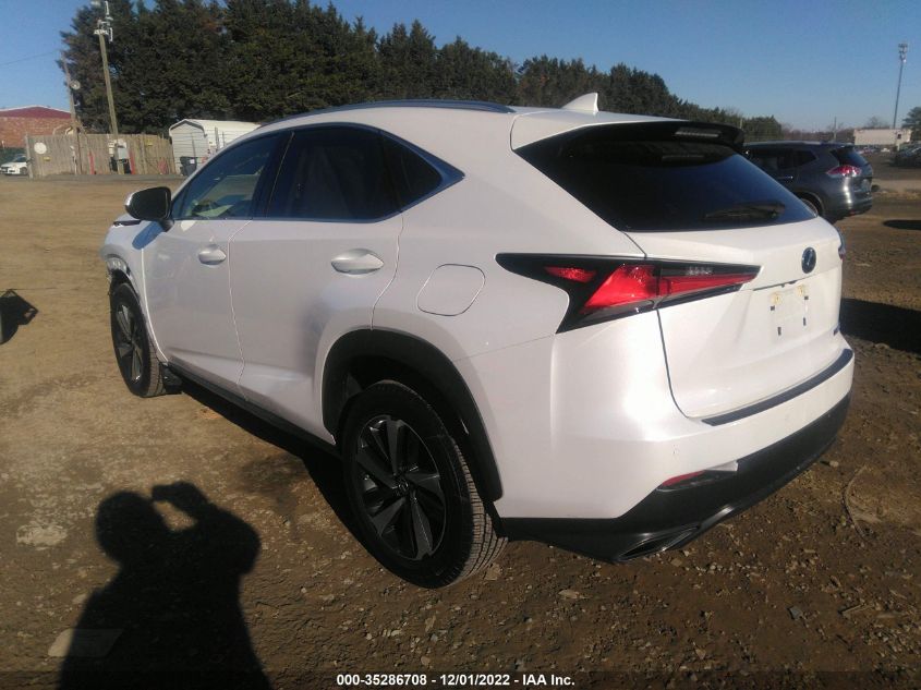 2021 LEXUS NX NX 300 VIN: JTJGARBZ9M5034231