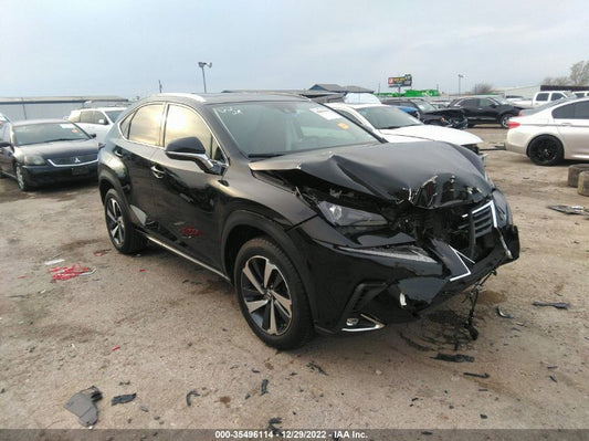 2020 LEXUS NX NX 300 VIN: JTJGARBZ9L5003298