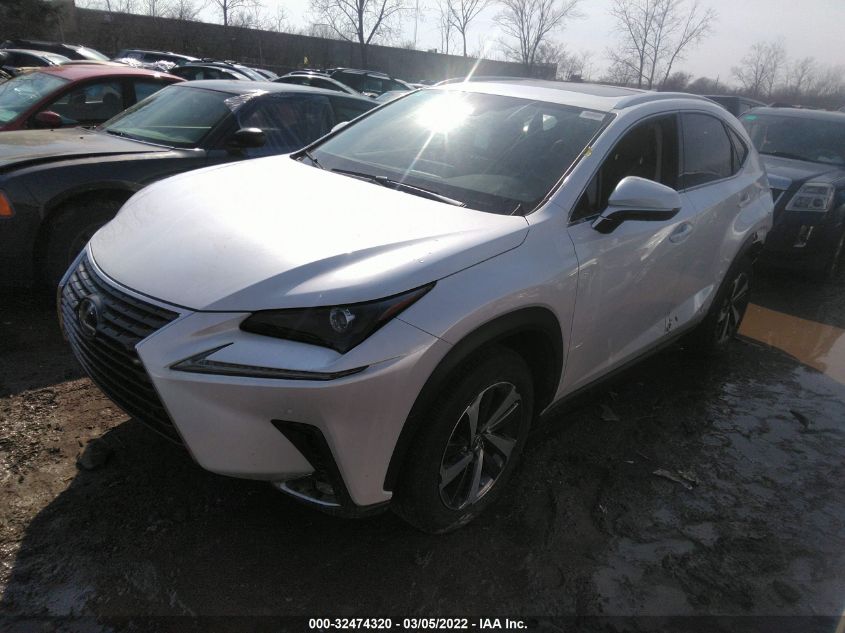 2021 LEXUS NX NX 300H VIN: JTJGJRDZ9M2168753