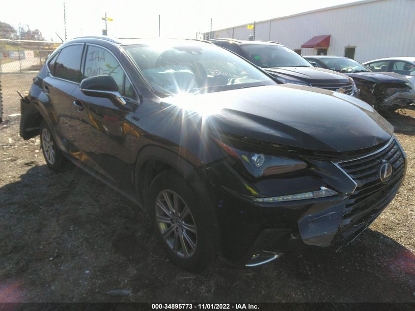 2021 LEXUS NX NX 300H VIN: JTJDJRDZ2M2149254