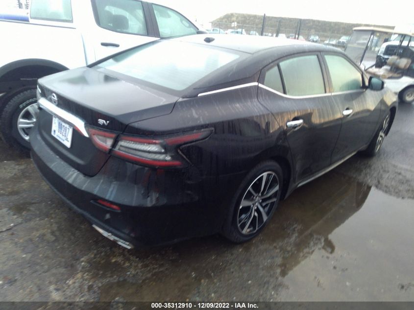 2022 NISSAN MAXIMA SV VIN: 1N4AA6CV7NC507632