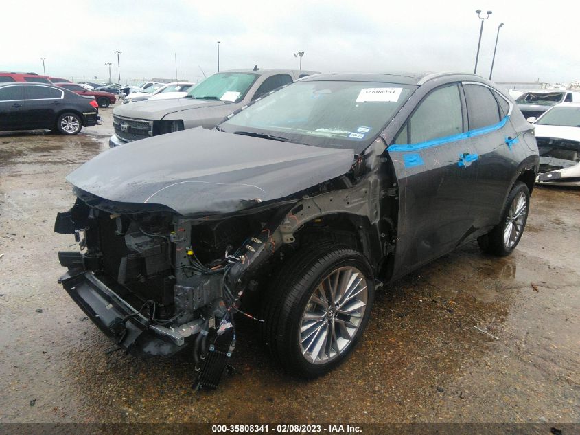 2022 LEXUS NX NX 350H LUXURY VIN: JTJHKCEZ1N2004945