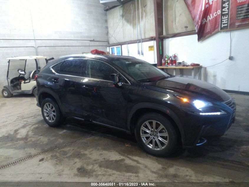 2021 LEXUS NX NX 300 VIN: JTJDARDZ9M2244619
