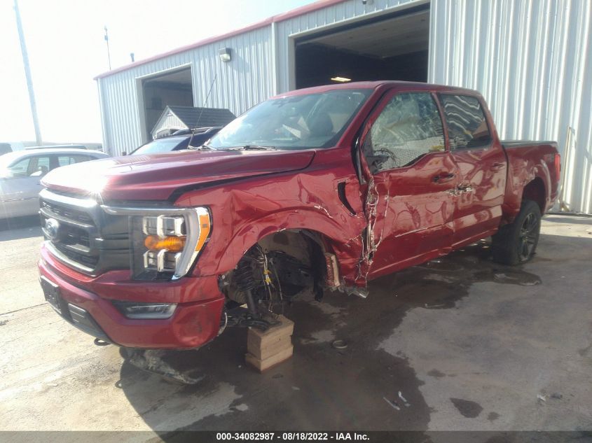 2021 FORD F-150 XL/XLT/LARIAT VIN: 1FTFW1E81MKD99010