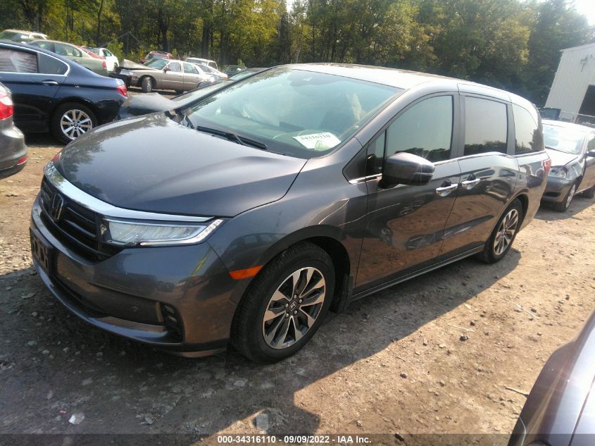 2022 HONDA ODYSSEY EX-L VIN: 5FNRL6H63NB503248