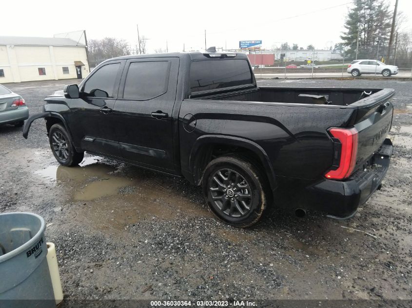 2022 TOYOTA TUNDRA 4WD PLATINUM VIN: 5TFNA5DB2NX006084