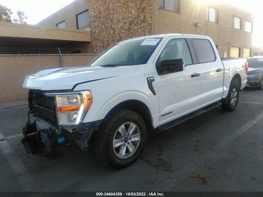 2021 FORD F-150 XL/XLT/LARIAT VIN: 1FTFW1CD5MFD11410