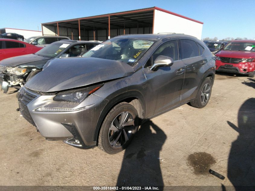 2020 LEXUS NX NX 300 VIN: JTJGARBZ4L5001443