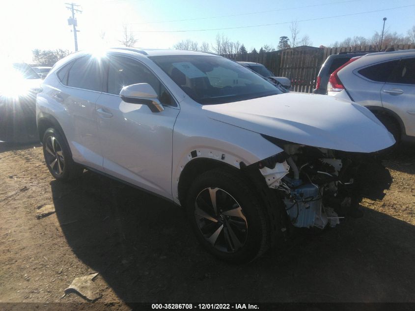 2021 LEXUS NX NX 300 VIN: JTJGARBZ9M5034231