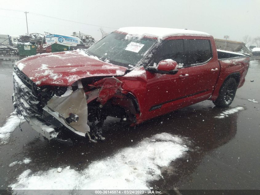 2022 TOYOTA TUNDRA 4WD PLATINUM VIN: 5TFNA5DBXNX039723