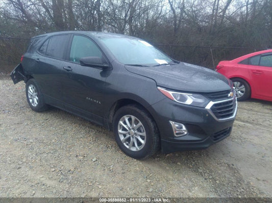 2021 CHEVROLET EQUINOX LS VIN: 2GNAXHEV7M6124645