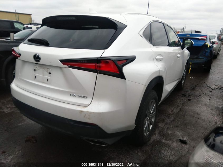 2021 LEXUS NX NX 300 VIN: JTJDARDZ9M5027974