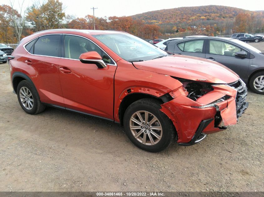 2021 LEXUS NX NX 300 VIN: JTJDARDZ9M2244734