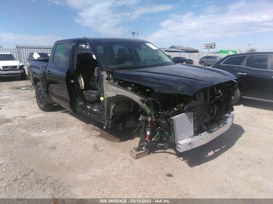 2023 TOYOTA TUNDRA 2WD SR5 VIN: 5TFLA5AB8PX024071