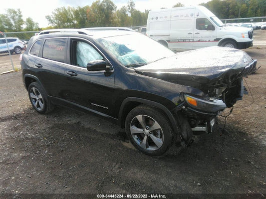2020 JEEP CHEROKEE LIMITED VIN: 1C4PJLDBXLD502763