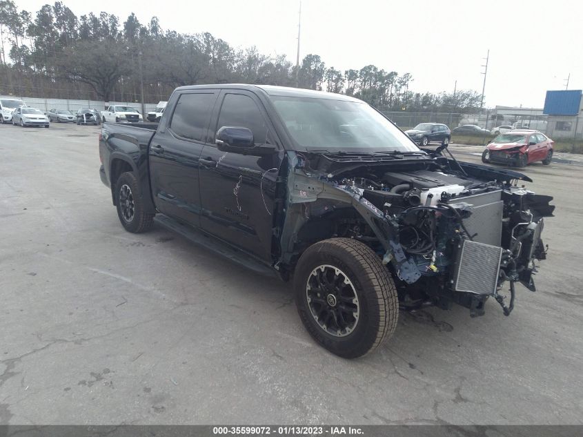 2022 TOYOTA TUNDRA 2WD SR5 VIN: 5TFLA5AB6NX012188