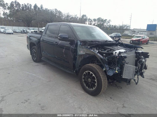 2022 TOYOTA TUNDRA 2WD SR5 VIN: 5TFLA5AB6NX012188