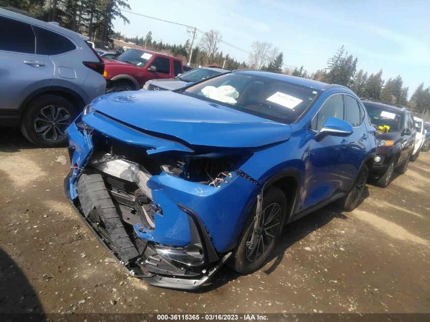 2022 LEXUS NX NX 250 VIN: JTJADCAZ1N2001822