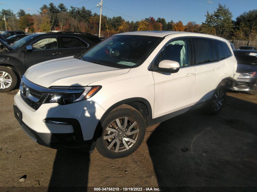 2021 HONDA PILOT EX-L VIN: 5FNYF6H54MB050749